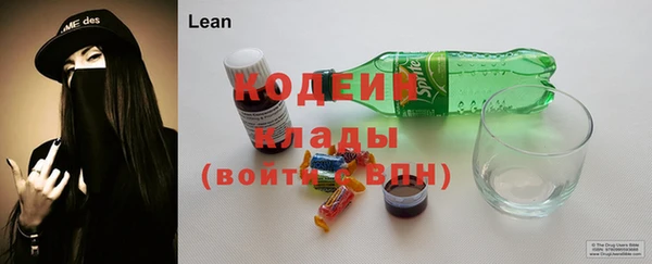 дживик Белокуриха