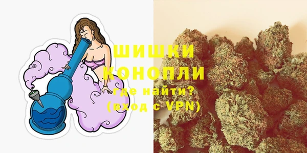 дживик Белокуриха