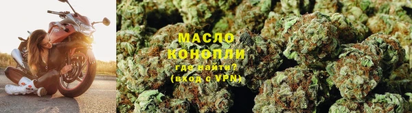 индика Пестово
