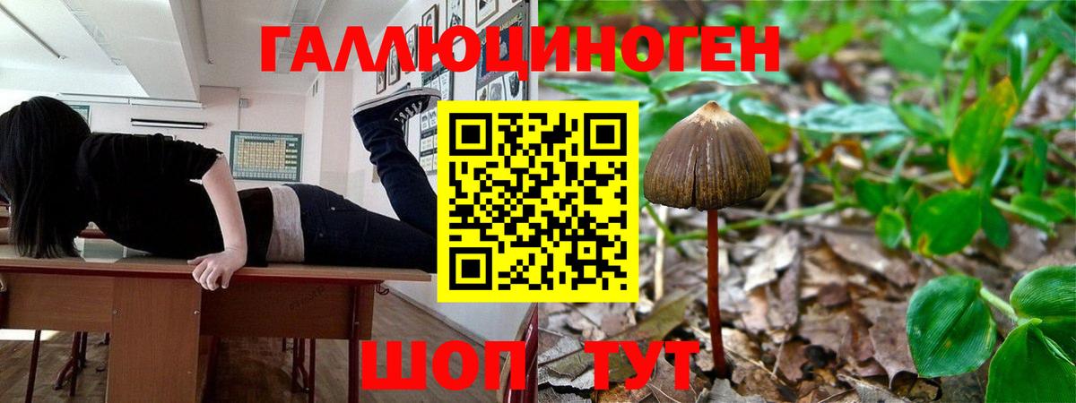 Галлюциногенные грибы прущие грибы Надым